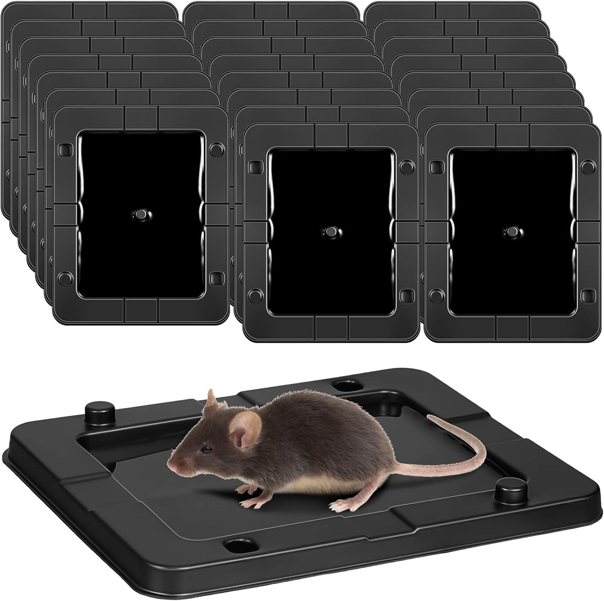 Qualirey 24 Pack Mouse Insect Glue Traps Bulk Strong Sticky Mouse Traps Large Baited Glue Trays for Mice Snakes Indoor Rodent Killer Plastic Sticky Non Toxic Killer for Home Indoor Outdoor