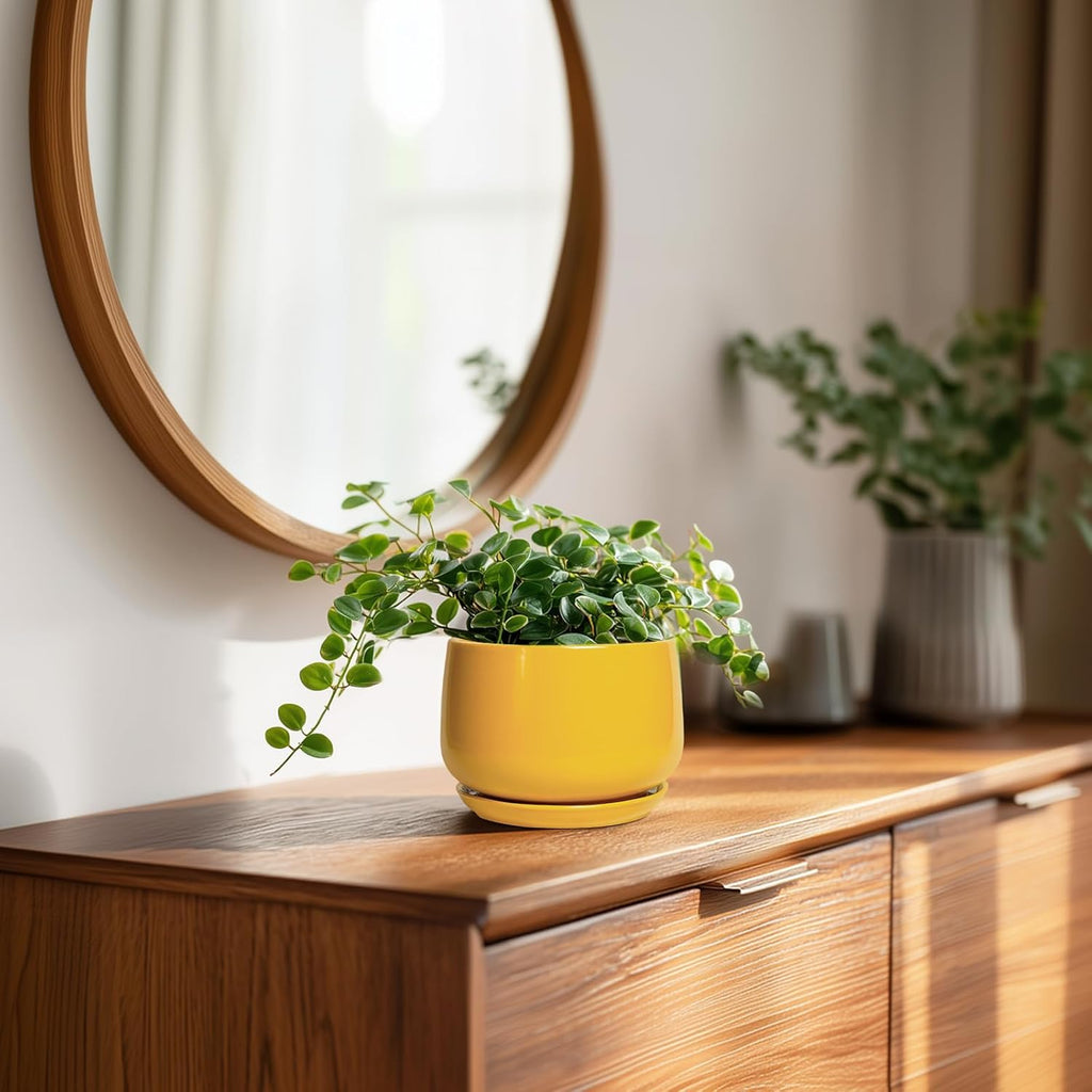 G EPGardening 4 Inch Ceramic Planter - Succulent Pots for Plants Indoor Outdoor, Small Plant Pots with Drainage Hole & Saucer, Round Planter, Modern Flower Pot, Home Decor, Plant Lover Gift, Yellow