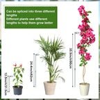 6 Sets Plant Stakes 12/25/36 Inch Adjustable Plant Support Stakes Tall for Indoor Outdoor Plant Holder Stick Steel Garden Stem Pole Amaryllis Stakes with 30 Clip for Tomato Orchid Lily Peony Flower