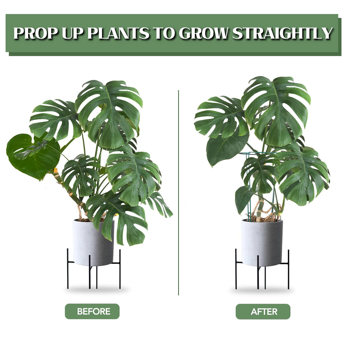 12 Pack 16 Inch Metal Plant Support Stakes for Outdoor Plants and Flowers