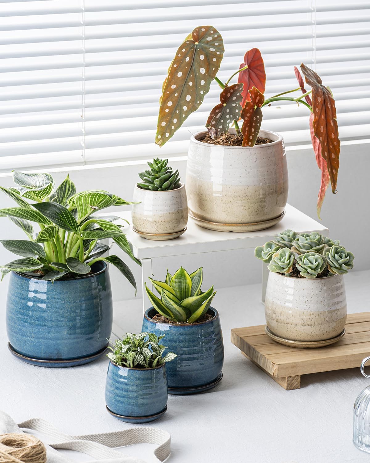 Ceramic Plant Pots with Drainage Holes and Saucers, Indoor Flower Pots for Plants Set of 3, 3.4+4.7+6.1 inch Cute Garden Pots Set for Succulent and Money Tree, Gift for Housewarmings, Blue