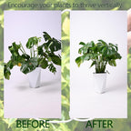 5PCS Monstera Plant Stem Support White - 11x9.4 inches, Durable Adjustable Leaf Supports for Indoor Plants, Fishbone Cactus Stake Holder for Garden Stability