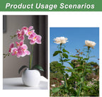 6 Pack (DIY) Plant Support Stakes, Three Sizes (12 or 24 or 36 inch) Plant Support Rings for Outdoor or Indoor, Garden Plant Stakes for Flowers Vegetable Roses Daffodils Tomatoes
