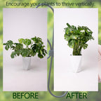 Black Monstera Plant Support Hook - 6.5 * 6.5IN -5 Piece Set, Durable Metal Stem Supports for Indoor Plants, Leaf Holder & Fishbone Cactus Stake, Stylish Design for Healthy Growth & Easy Care