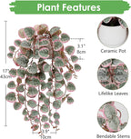 Briful Fake Plants Indoor 16'' Artificial String of Hearts Plants with Ceramic Pot Small Faux Draping Vine Plants for Home Bathroom Table Shelf Office Hotel Decor(Pink)