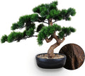 Artificial Bonsai Tree 16" Tall with Realistic Wood and Ceramic Pot Fake Plants Juniper Pine Zen Faux Plants for Home Bedroom Japanese Decor
