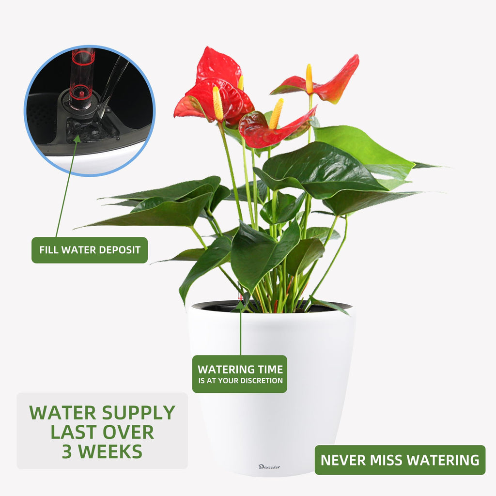 Dexceder 15x14 Self Watering Planter with Wheels (White Matte)