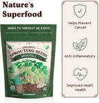Seedboy Organic Non-GMO Broccoli Seeds for Sprouting - USA Grown Microgreens Sprouting Seeds - 8 oz Bag Makes 8 Quarts / 24 Servings (Di Cicco Broccoli)