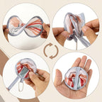 4Pcs Bohemian Round Foldable Hand Fan Japanese Foldable Fan Style Handheld Compact Cooling Fans,Round Folding Fan for Outdoor Games,Xmas Decoration,Festival,Party Favors,Travel,Events