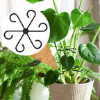6PCS Plant Stem Support, 3 Sizes Climbing Houseplant Stem Holder, Plastic Reusable Flower Trellis Stem Hook Plant Care Growth Accessories for Flower Plants Indoor Outdoor - Black, 5.28"/4.55"/3"