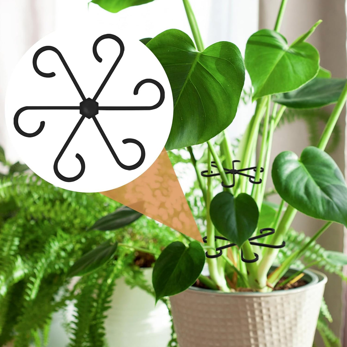 6PCS Plant Stem Support, 3 Sizes Climbing Houseplant Stem Holder, Plastic Reusable Flower Trellis Stem Hook Plant Care Growth Accessories for Flower Plants Indoor Outdoor - Black, 5.28"/4.55"/3"