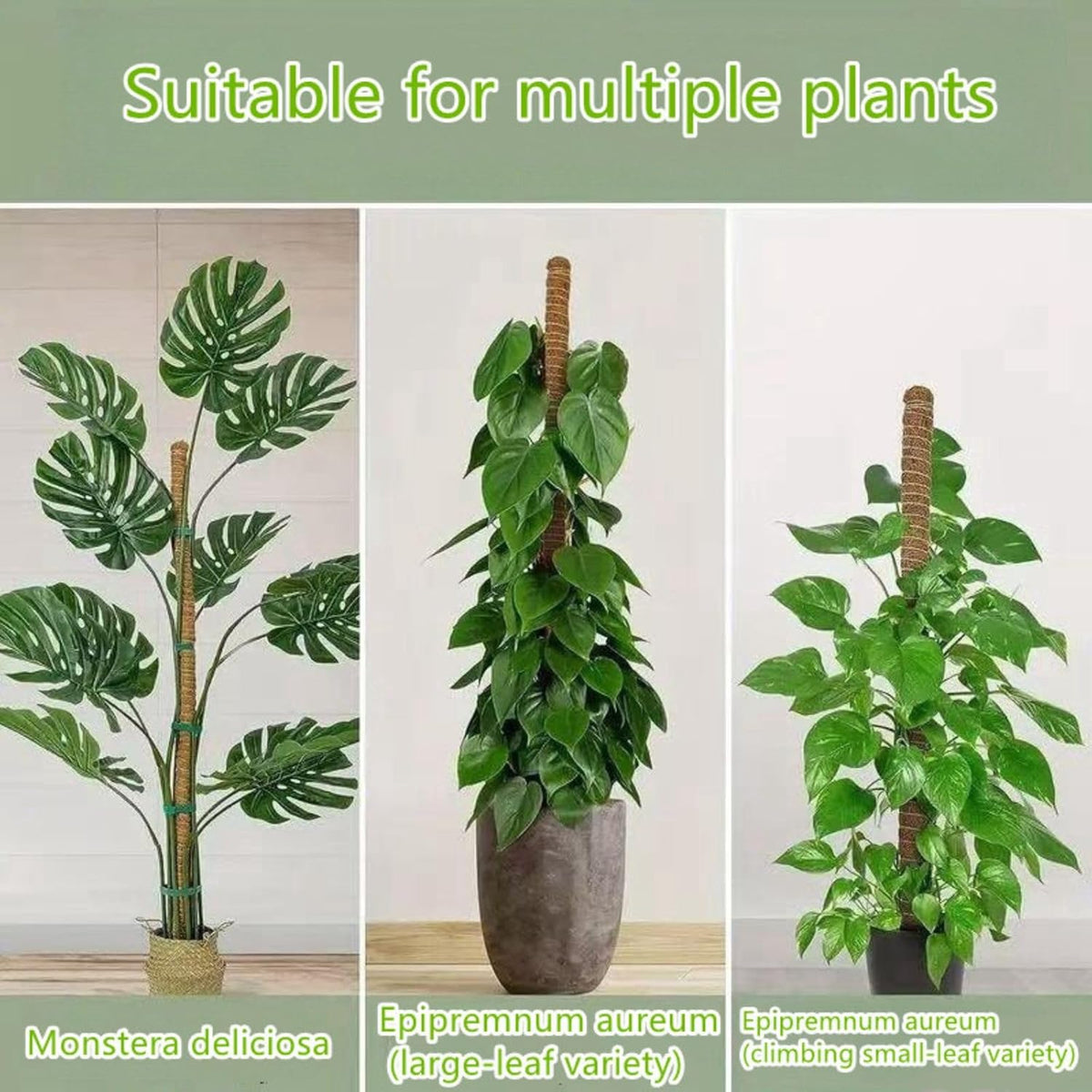Moss Pole,47 Inch Monstera Plant Support, Upgraded 7mm Aluminum core Moss Poles for Climbing Indoor Plants DIY, Coco Coir Plant Pole Moss Plant Stick Support Stake Kit for Potted Plants Pothos
