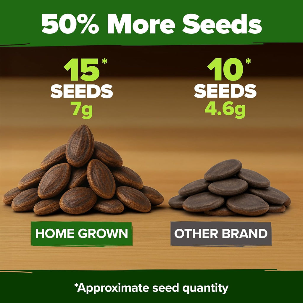 HOME GROWN 𝗨𝗦𝗔 𝗣𝗥𝗘𝗠𝗜𝗨𝗠 𝗢𝗥𝗚𝗔𝗡𝗜𝗖 Watermelon Vegetable Seeds (Crimson Sweet) – 15 Non-GMO, Heirloom Water Melon (7g) for Planting in Home Gardens or Beds Outdoors – Citrullus lanatus