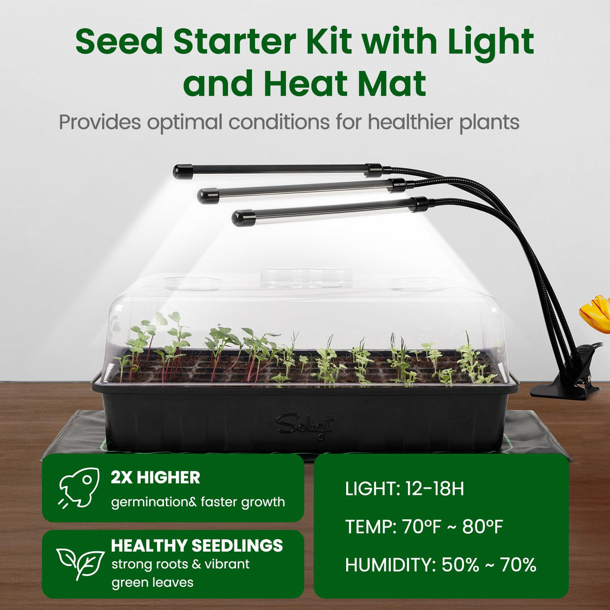 SOLIGT 60 Cell Seed Starter Tray Kit with Grow Light and Heat Mat