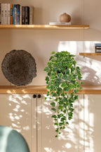 Hollyone Artificial Hanging Plants Potted 31.4" Fake Ivy Vine Faux Ivy Leaves Hanging Greenery Plant in Black Pot for Home Indoor Wall House Room Patio Shelf Office Decor