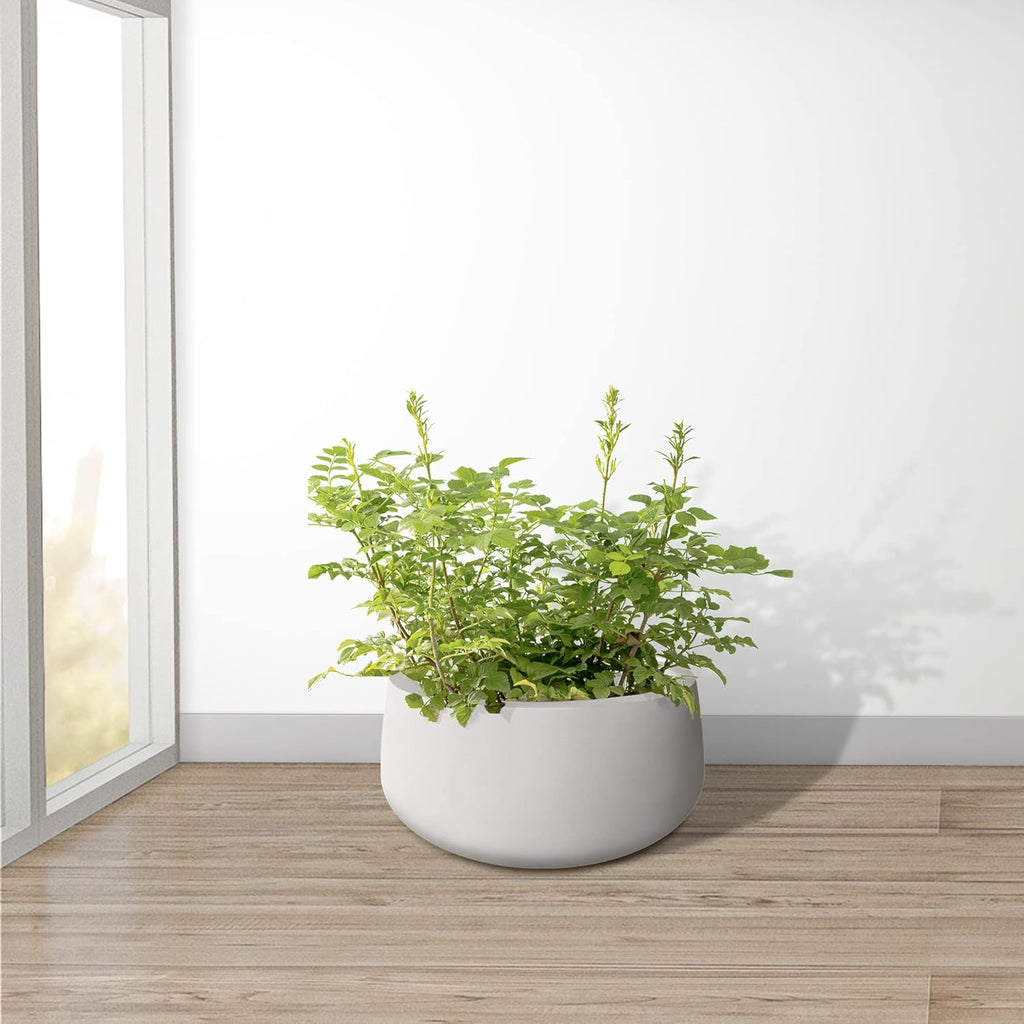 Kante 15.7" Dia Round Concrete Planter, Outdoor Indoor Garden Plant Pots with Drainage Hole and Rubber Plug, Modern Curvaceous Design, Pure White