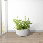 Kante 15.7" Dia Round Concrete Planter, Outdoor Indoor Garden Plant Pots with Drainage Hole and Rubber Plug, Modern Curvaceous Design, Pure White