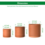 D'vine Dev 3-Pack Classic Terracotta Pots & Saucers, 4/5/6 in, 40-T-A-0