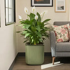 15 Inch Self-Watering Planter for Indoor Plants – Large Modern Plant Pot with Built-In Water Reservoir, Ideal for Monstera, Fiddle Leaf Fig, Palms & Peace Lily, Without Trellis (1, Sage Green)
