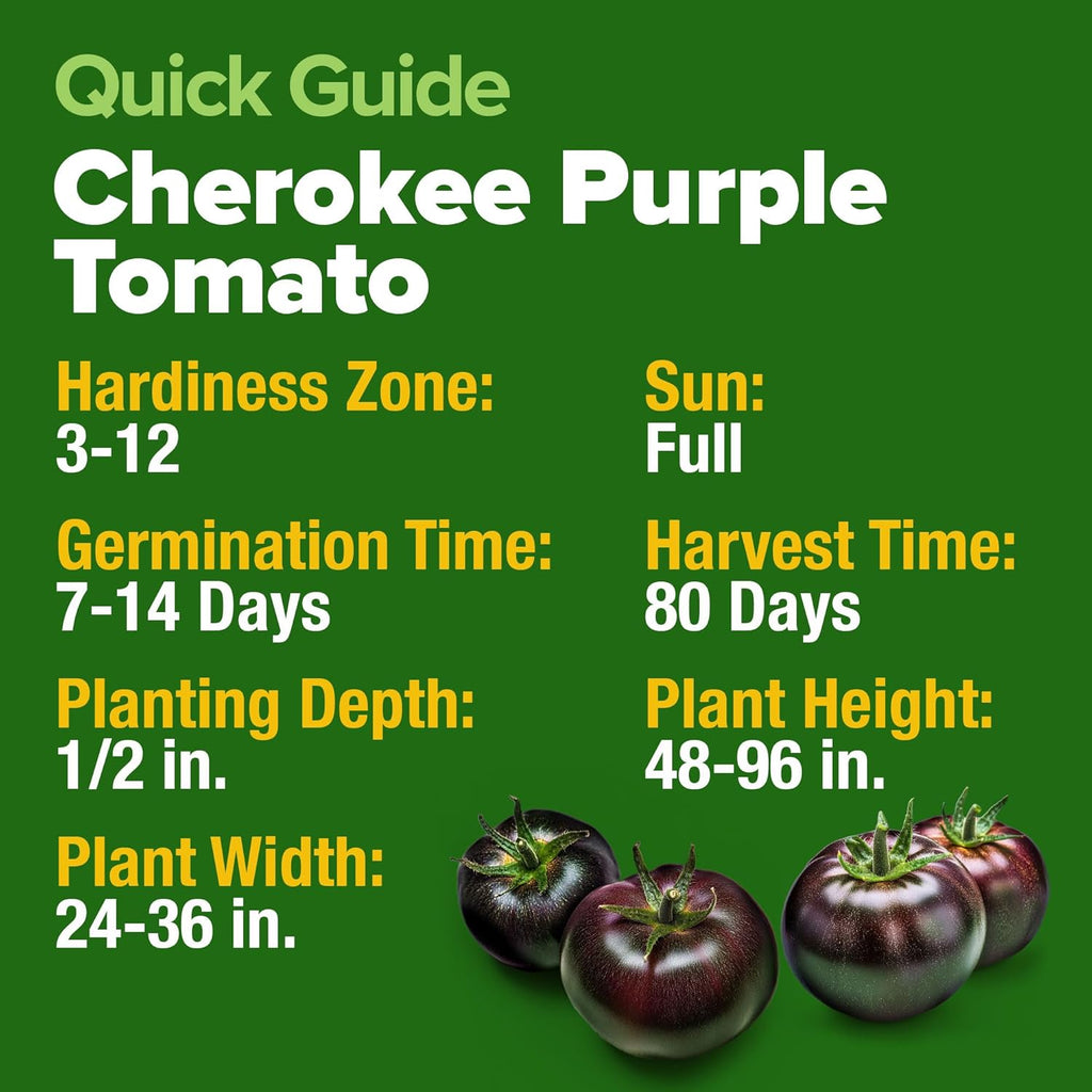 HOME GROWN 𝗨𝗦𝗔 𝗣𝗥𝗘𝗠𝗜𝗨𝗠 Cherokee Purple Tomato Seeds 1 Pack (Solanum lycopersicum) - 106 Seeds, 𝗡𝗢𝗡-𝗚𝗠𝗢 Tomato for Planting - Heirloom Vegetable Seeds with High Germination Rate