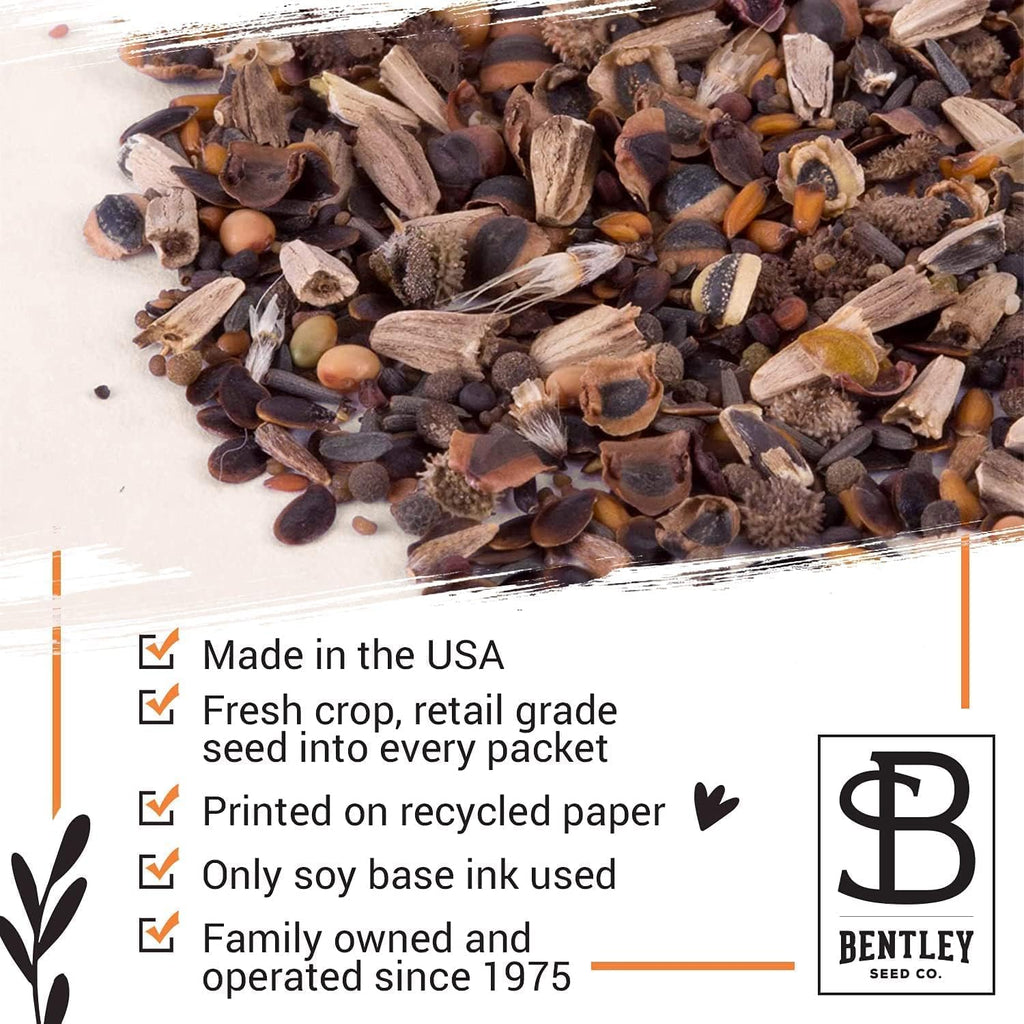 Bentley Wildflower Pollinator Mix, 25 Non-GMO Packets for Garden Planting, Non-Coated Flower Seeds to Grow Plants and Help Bees, Beautiful Gift