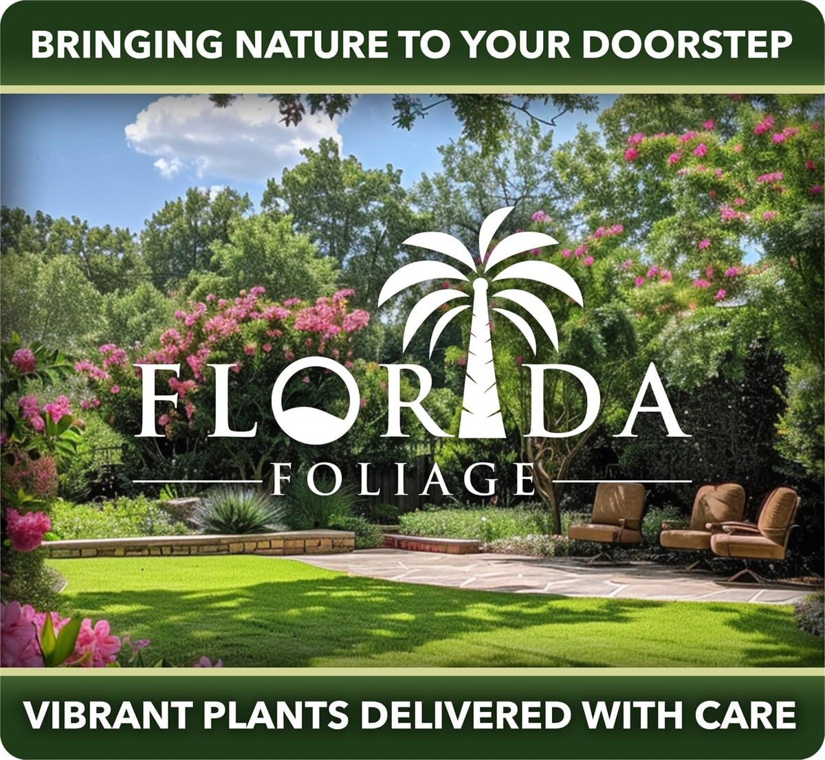 Juniper Blue Pacific - 30 Live Plants - Drought Tolerant Cold Hardy Evergreen Ground Cover