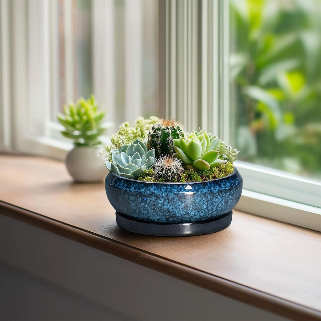 Succulent Pots - 6 Inch Ceramic Bonsai Pots with Drainage Hole and Saucer, Shallow Planter for Indoor Outdoor, Round Succulent Planter, Cactus Pot, Office Decor, Gifts for Plant Lovers, Blue