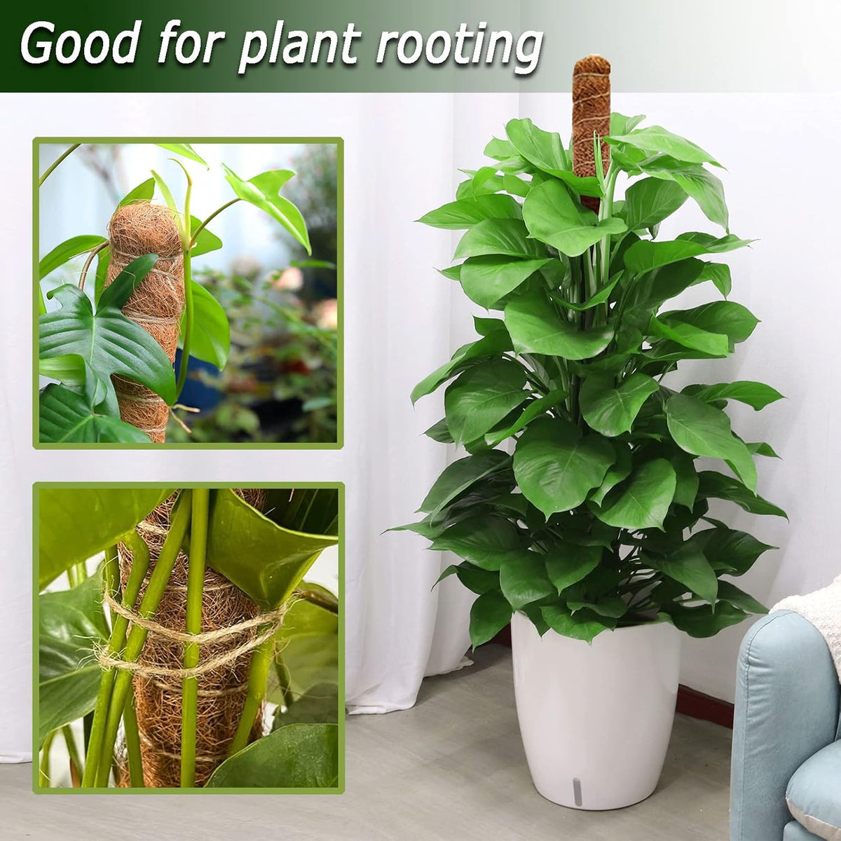 48 Inch Moss Pole, Bendable Moss Pole for Plants Monstera, Tall Moss Poles for Climbing Plants Indoor, Large Moss Pole Support, Garden Trellis Plant Stick Stakes for Potted Plants, Pothos