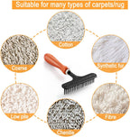 Hand Held Carpet Rake, Making Carpets Fluffy Again, Clean Hair, Let Carpet Restore Softness (Iron, Black)