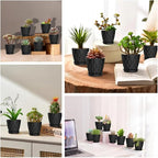 16 Pack 4 Inch Plastic Planter Pots with Tray, Heavy Duty Indoor Outdoor Planter Pots with 48 Drainage Holes for Herbs, Succulents, Seedlings, Flowers Durable and Lightweight Black