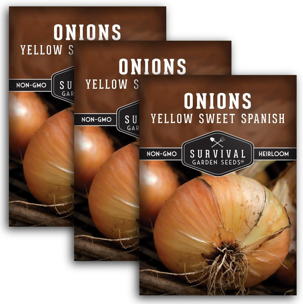Yellow Sweet Spanish Onion Seed for Planting - 3 Packets with Instructions to Plant and Grow Long Day Onions in Your Home Vegetable Garden - Non-GMO Heirloom Variety - Survival Garden Seeds