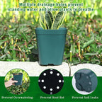 June Fox Small Seedling Pots 4 Inch, 100 Pcs Square Plant Pots Bulk, Plastic Nursery Pots with Drain Holes for Seedlings, Succulents, Cuttings (Green)