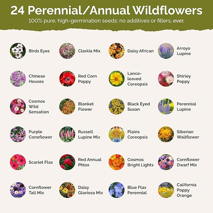 Eden Brothers Texas Wildflower Mixed Seeds for Planting, 5 lb, 2,400,000+ Seeds with Cornflower, Birds Eyes, African Daisy, Attracts Pollinators, Plant in Spring or Fall, Zones 3, 4, 5, 6, 7, 8, 9, 10