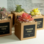 Temlum 2.5 Inch Succulent Wrap Bags (Fits 2.5″ Pots) with Thank You & Let Love Grow Stickers, Small Succulent Gift Box for Wedding, Baby Shower, Succulent Party Favors for Guests (Brown 100pcs)