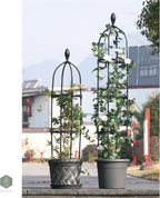 GardenPal Rustproof Metal Pipe Garden Obelisk Trellis, Tomato Cage and Plant Support for Climbing Plants, Potted Tall Plant Stakes for Vine Vegetable Flower Outdoor Indoor (Black, Φ31.7cm-H175cm)