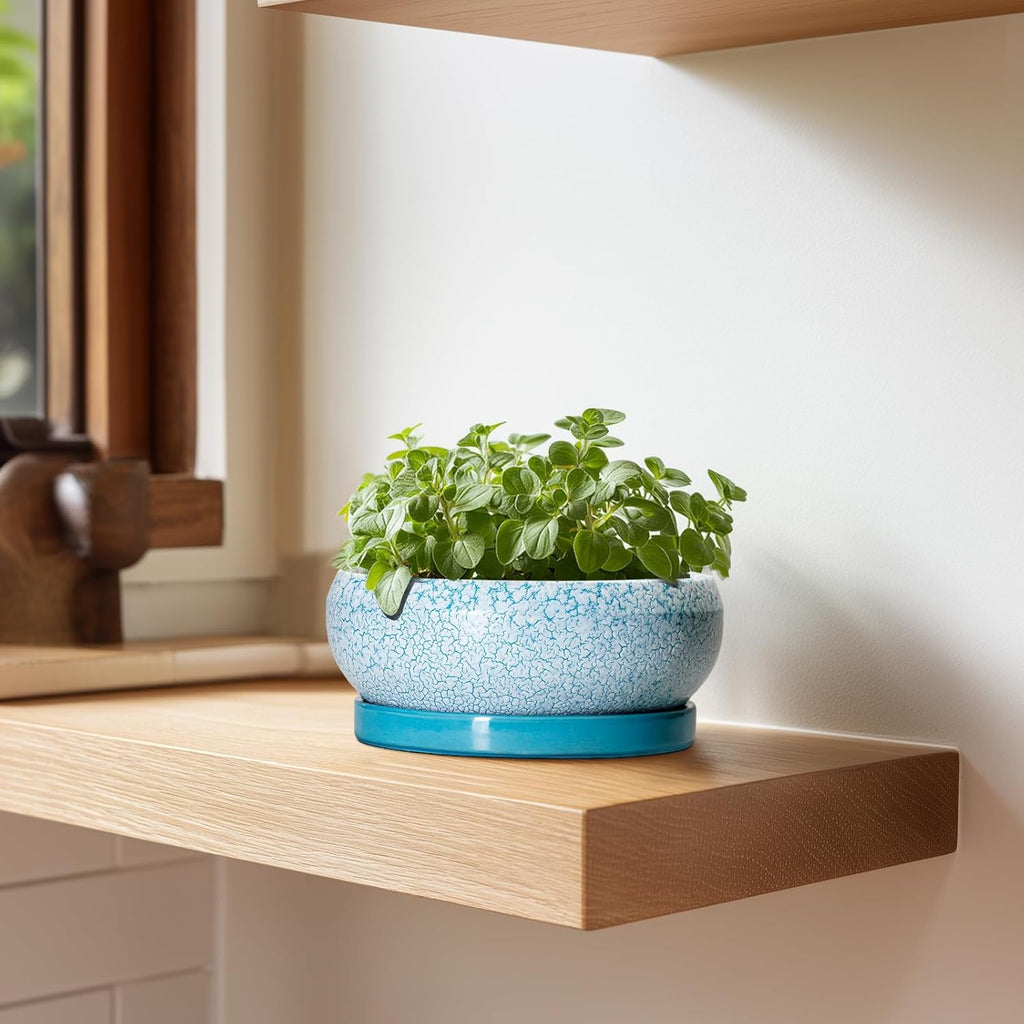 Bonsai Pots Small - 6 Inch Succulent Pots with Drainage Hole and Saucer, Succulent Planters for Indoor Outdoor, Shallow Plant Pot, Round Bonsai Planter, Office Decor, Plant Lover Gifts, Blue