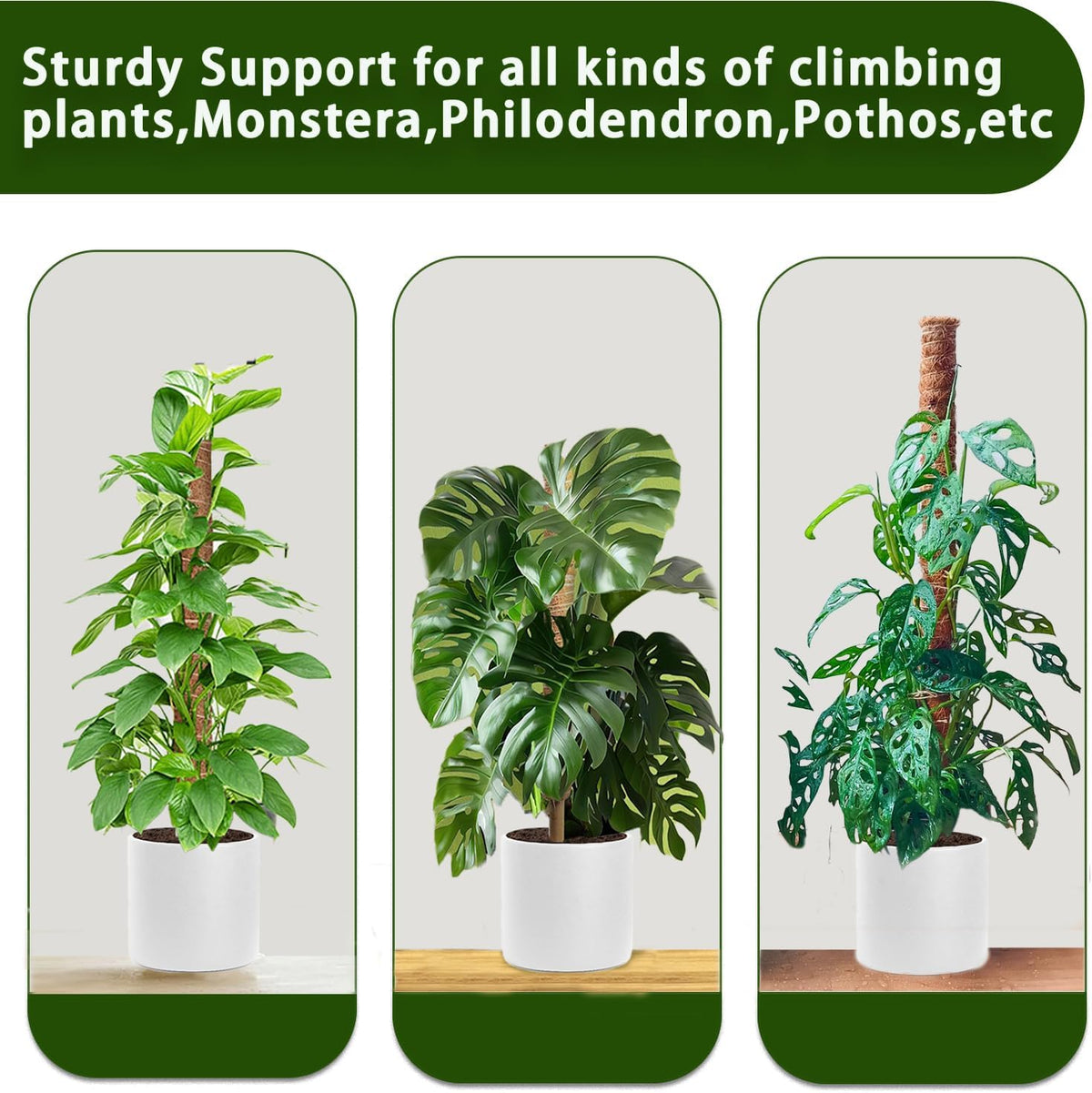Moss Pole, 4 Pack 17Inch Monstera Plant Support for Climbing Plants Accessories Indoor -Stackable Moss Poles Plant Support Stakes -Coir Plant Pole Sticks for Potted Plants -Pothos, Tall Plant Trellis