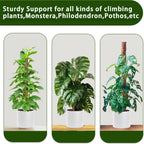 Moss Pole, 2 Pack 17 Inch Monstera Plant Support for Climbing Plants Accessories Indoor, Stackable Moss Poles Plant Support Stakes, Coir Plant Pole Sticks for Potted Plants, Pothos, Philodendron