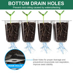 DJGINRO 12 Pack Seed Starter Tray Seed Starter Kit (144 Cells Total Tray) with Humidity Adjustable Dome, for Seeds Growing Starting Plant Germination Trays, Mini Green House Germination Trays.