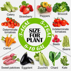 5 Gallon Grow Bags 6 Pack,Fabric Pots 5 Gallon for Healthy Plant Growth - Durable and Reusable Garden Bags to Grow Vegetables,Fruits,and Flowers