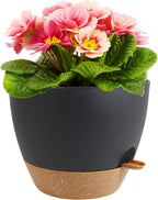 12 inch Large Self Watering Pots, Plant Pots with Mesh Drainage Holes for Indoor Outdoor Plants, Plastic Planters with Deep Reservoir for Garden House Flower Plants, Black with Brown