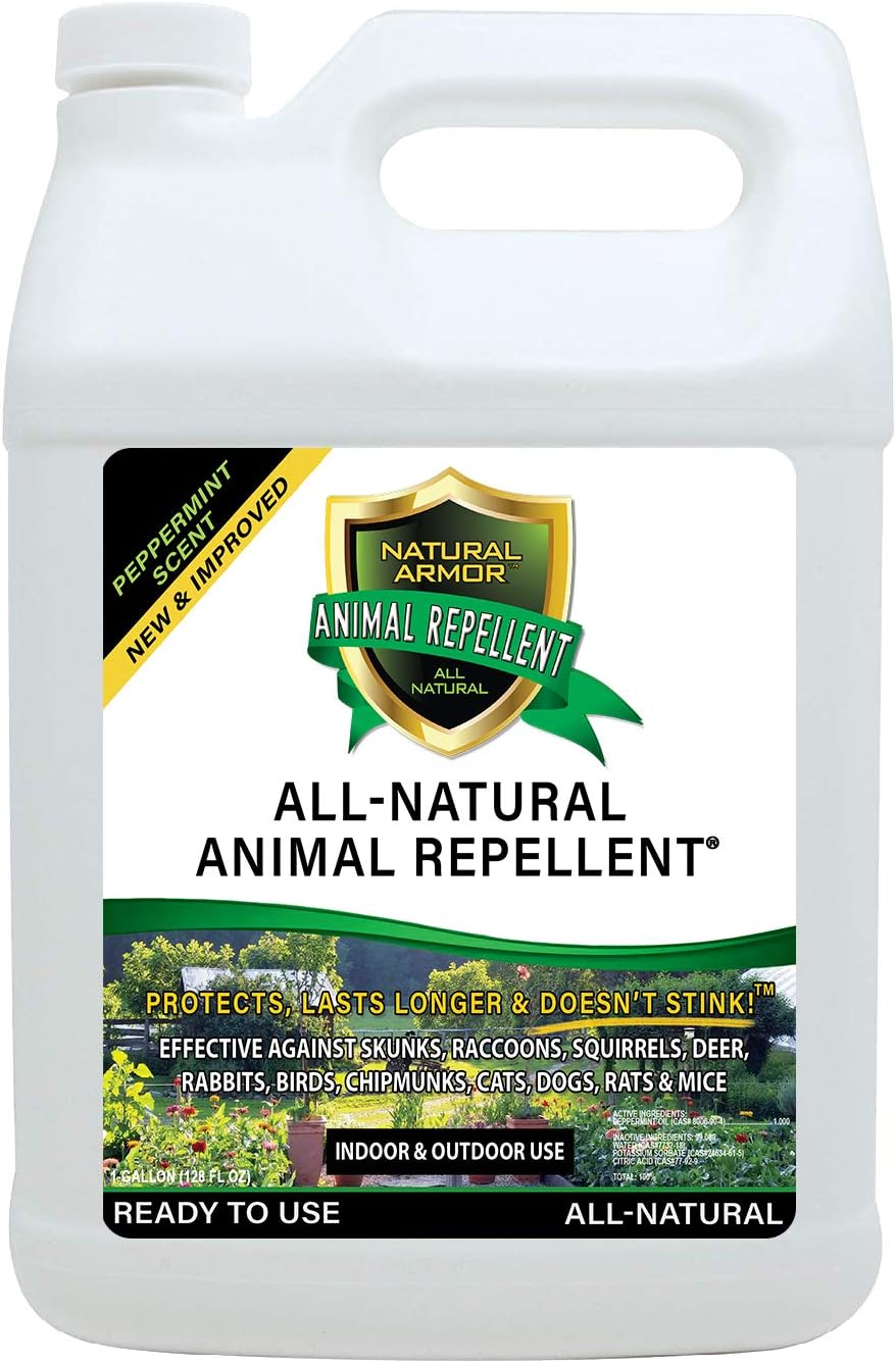 Natural Armor Animal & Rodent Repellent Spray. Repels Skunks, Raccoons, Rats, Mice, Deer Rodents & Critters. Repeller & Deterrent in Powerful Peppermint Formula – 128 Fl Oz Gallon Refill RTU