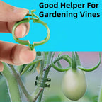 100Pcs Secured Plant Clips - Reusable Plastic Trellis Support for Tomato, Vine, Climbing Plants | Garden Clips for Vegetables & Outdoor Plants