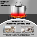 TonGass 60-Pack Large 8"x5"x20" Autoclavable Mushroom Grow Bags Bulk with Microporous Filter Patchs, Extra Thick 80 Micron (=3 Mil), Mushroom Cultivation Spawn Supply Myco Bag Bulk Substrate Bags