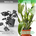 12pcs Climbing Houseplant Stem Supports,Plant stem Support Indoor Outdoor Use,Stem Hook Growth Accessories for Plant Garden, Promotes Upright Growth and Airflow(Black)