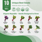 Organo Republic 10 Rare Beet Seeds Variety Pack for Planting Indoor & Outdoors 1625+ Heirloom Non-GMO Bulk Beets Gardening Seeds: Chioggia, Detroit Dark Red, Sugar, Cylindra, Bulls Blood, White Albino