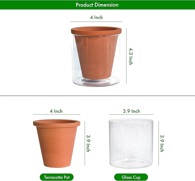 D'vine Dev 4 Inch Design Self Watering Pot for Indoor Plants, Terracotta Planter with Cylinder Glass Cup, Set of 2, 37-Y-A-1