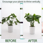 5PCS Monstera Plant Stem Support 7.3*6.25IN Adjustable Holder for Indoor Plants, Durable Metal Structure with Gentle Clips, Perfect for Fishbone Cactus & Climbing Plants, Ideal Gardening Gift
