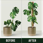 Moss Pole Pack of 4 – 50CM Monstera Plant Support | Natural Coco Coir Plant Poles for Indoor Plants | Extendable Moss Sticks for Climbing Plants, Pothos & Philodendron