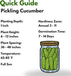 Over 150 Pickling Cucumber Seeds – Organic Heirloom, Non-GMO, High Germination Rate – Perfect for Planting in Home Gardens & Fresh Pickles